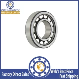 NU309E Cylindrical Roller Bearings  45x100x25mm