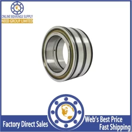 SL192318 Cylindrical Roller Bearings  90x190x64mm